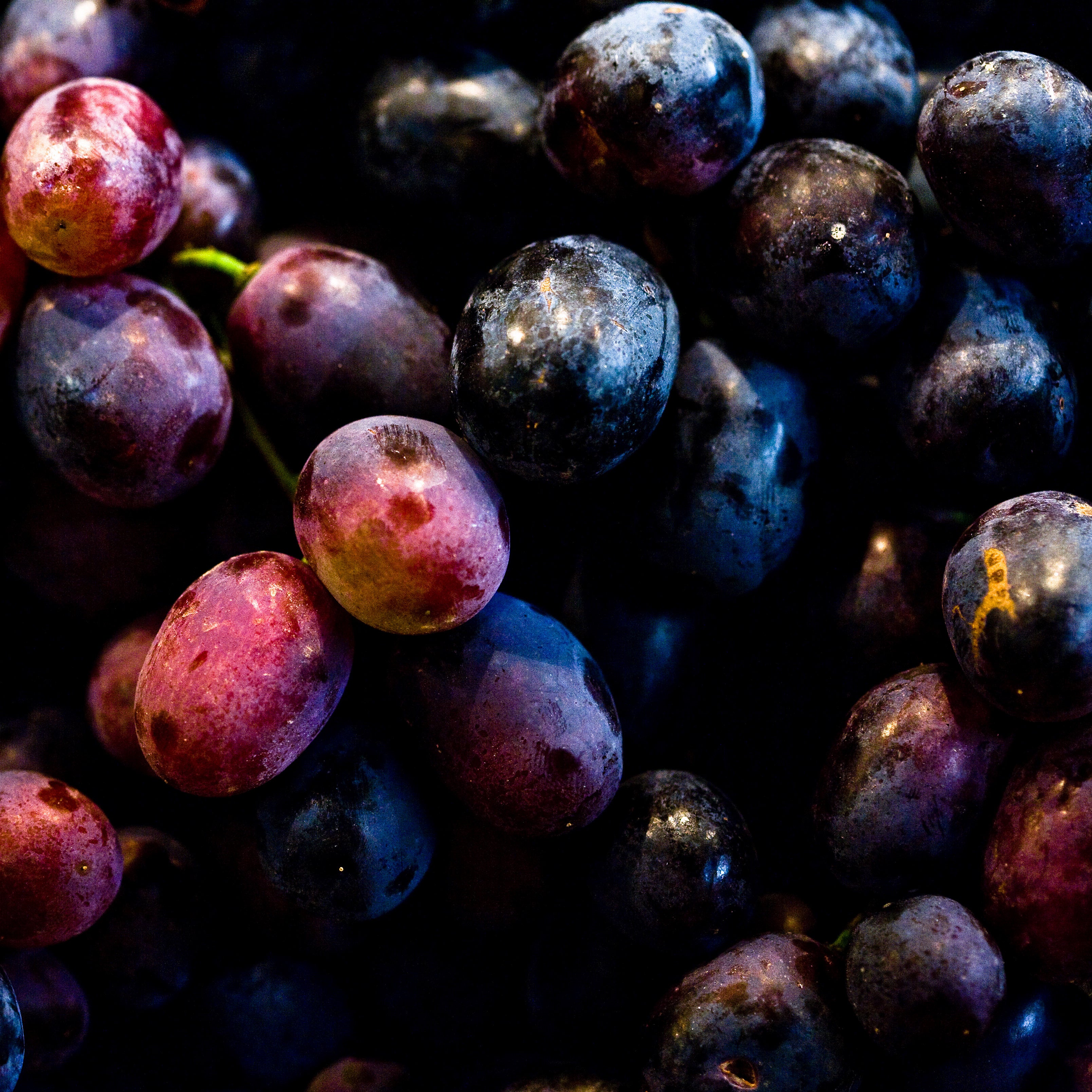 Grapes used in Dame Jo! skincare, emphasizing natural antioxidant properties