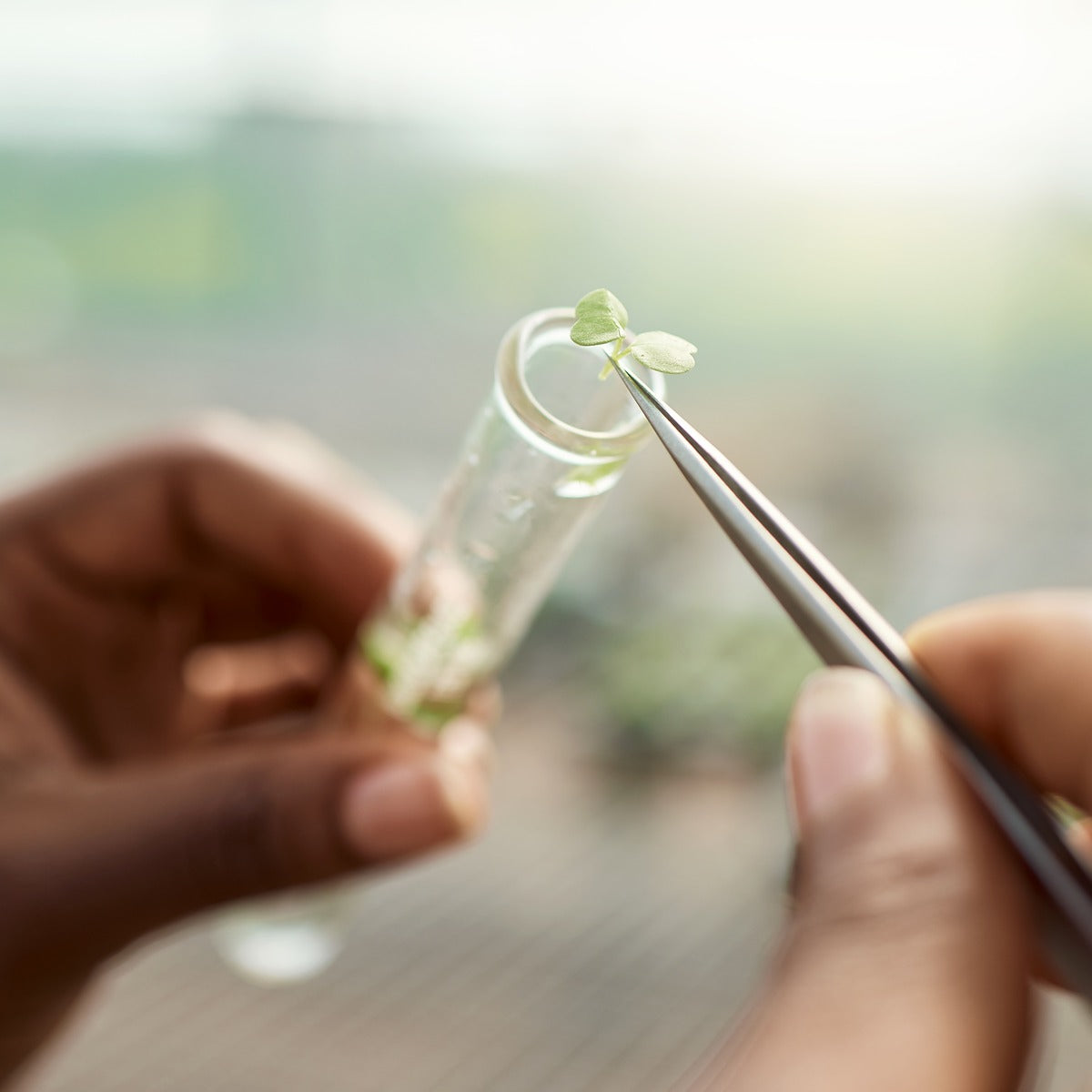 Visual blend of scientific elements and nature, symbolizing Dame Jo!’s fusion of science, nature and soul.