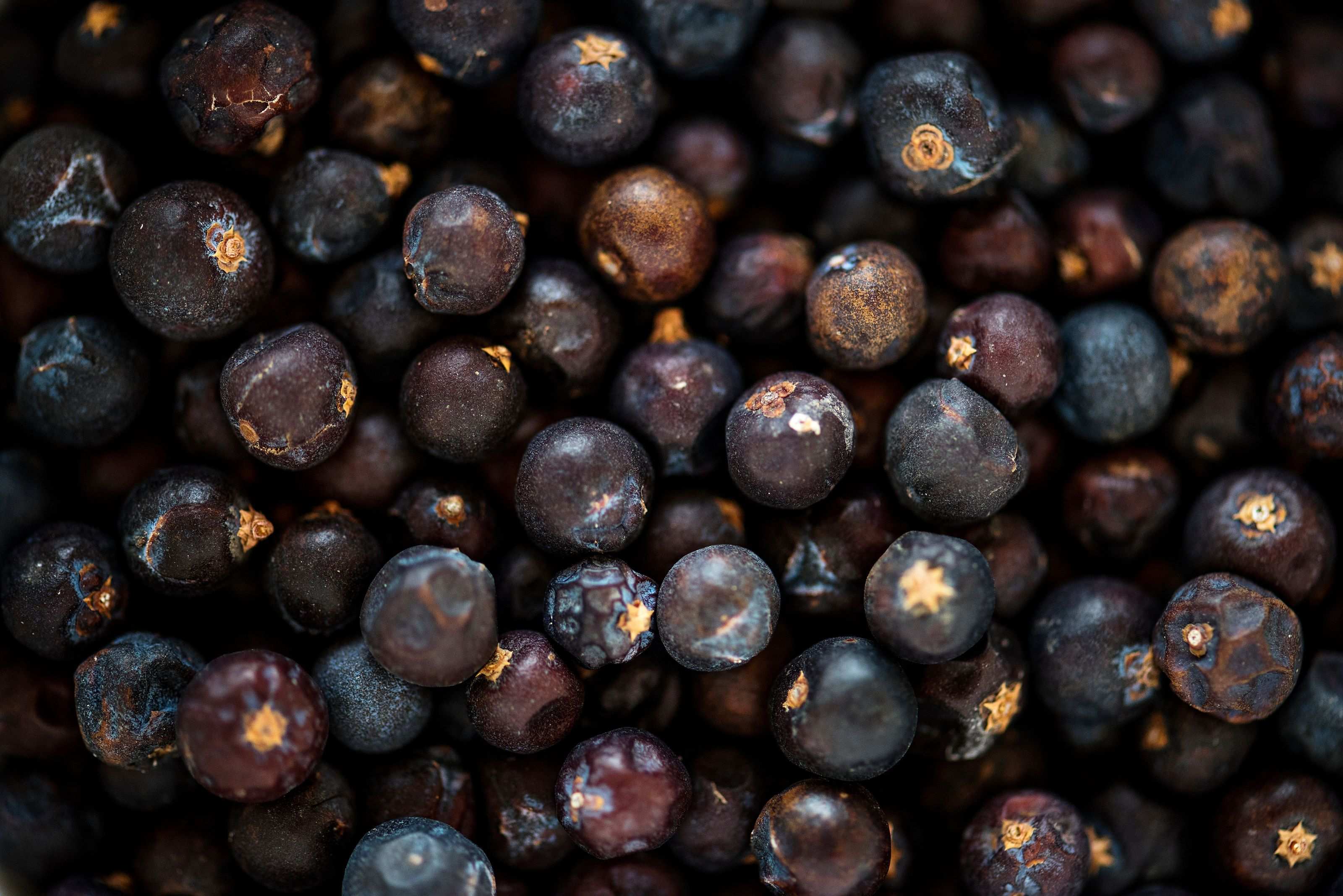 Babchi seed extract in Dame Jo! skincare, a natural retinol alternative for skin renewal.
