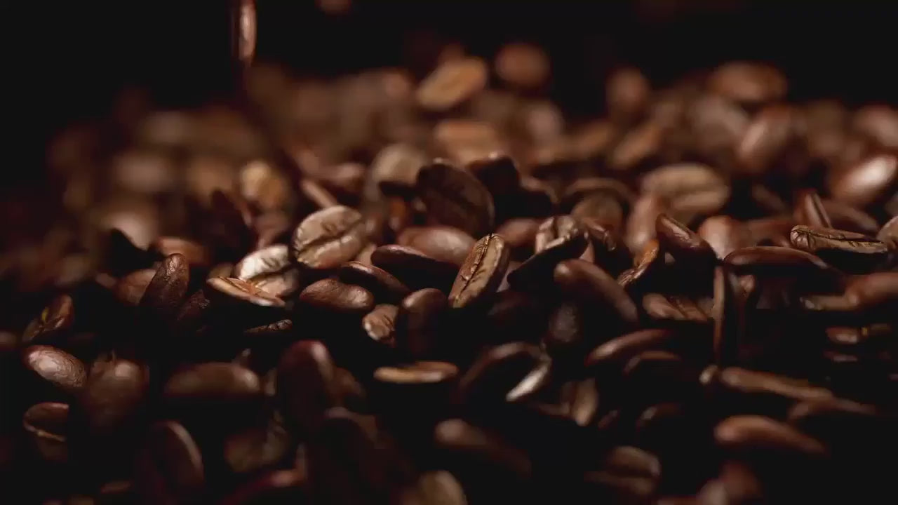 Video of coffee extract – energizing antioxidant ingredient in Executive Radiance Serum for brighter morning skin.