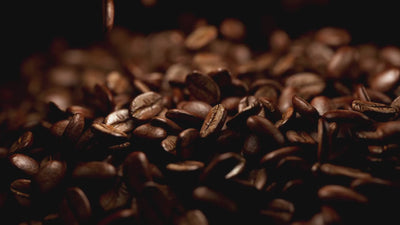 Dual Coffee Extract – Energizing botanical infusion featured in Executive Radiance Serum